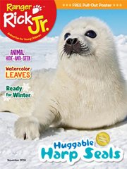RANGER RICK JR magazine subscription