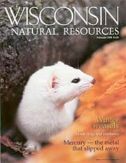 WISCONSIN NATURAL RESOURCES magazine subscription WISCONSIN NATURAL RESOURCES magazine subscription